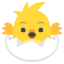 :hatching_chick: