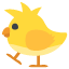 🐤