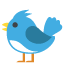 :bird: 🐦