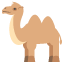 :camel: 🐫
