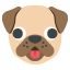 :dog: 🐶