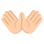 :open_hands_tone2: 👐🏼