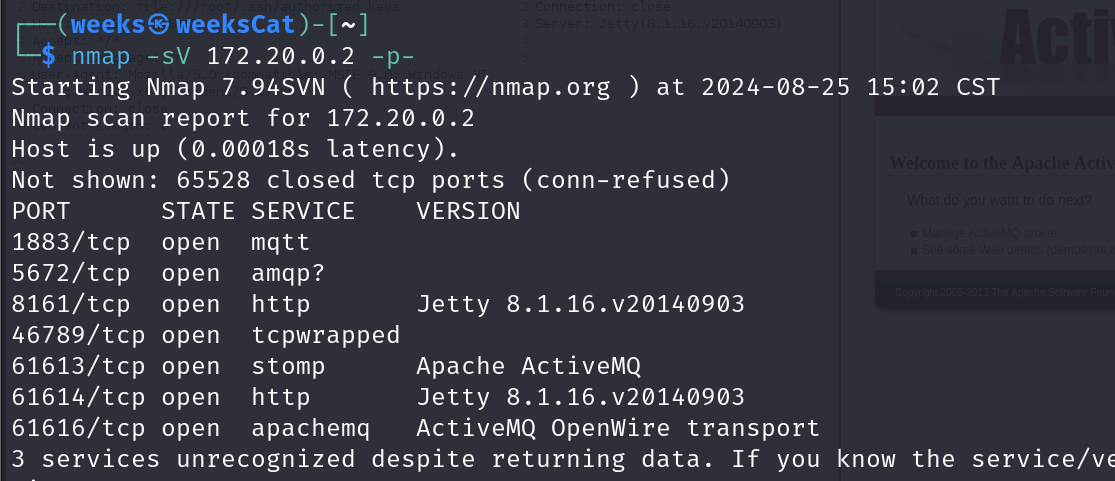 image-20240825151722088