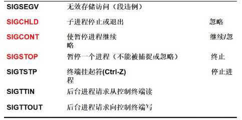 image-20241220093717283