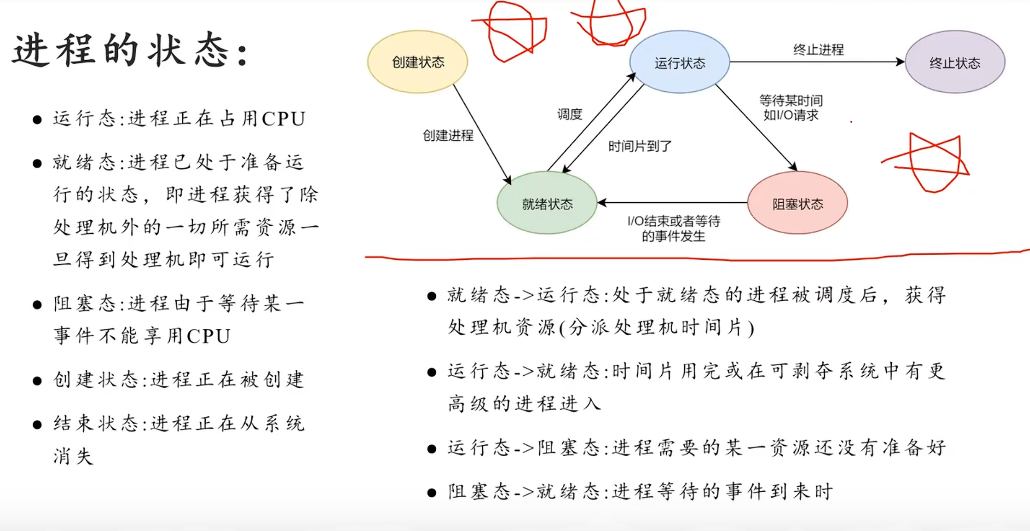 image-20241224145205278