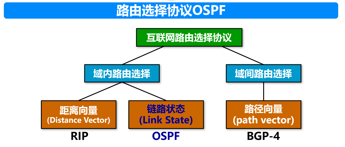 image-20241228114912157