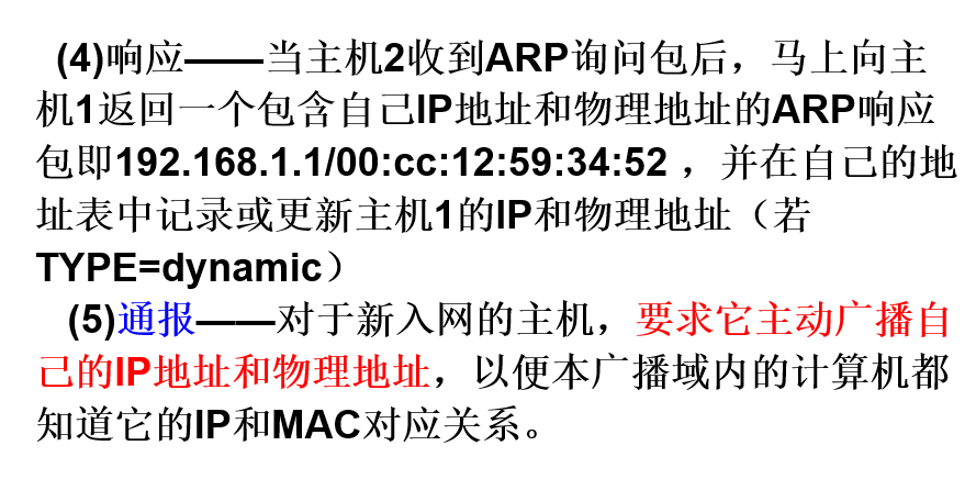 image-20241228120138752