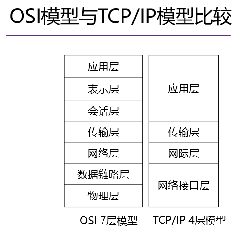 image-20241228212207690