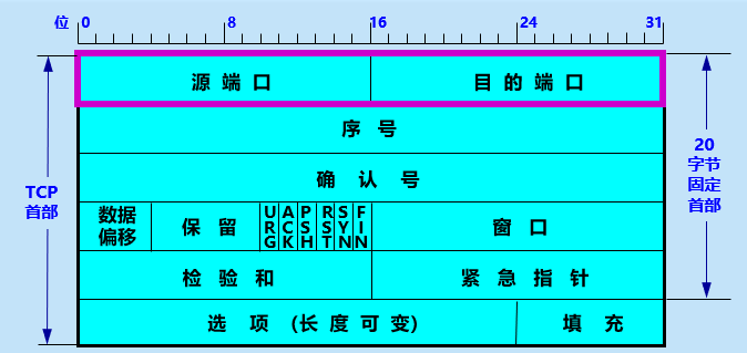 image-20241229173836642