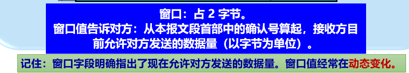 image-20241229174104828