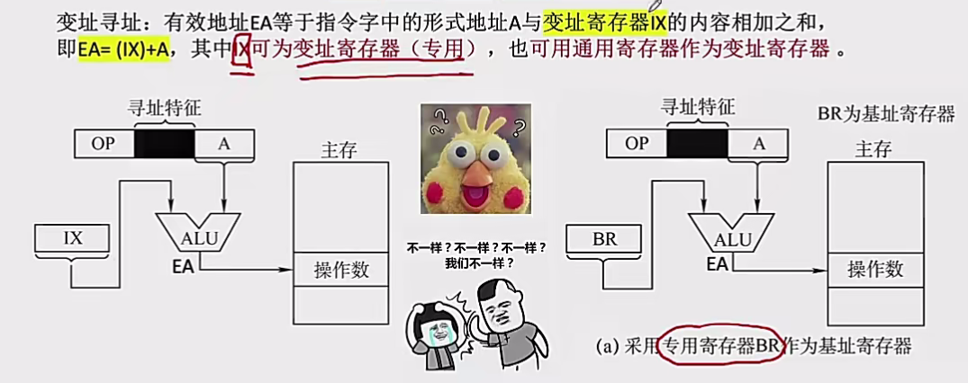 image-20241231103834477