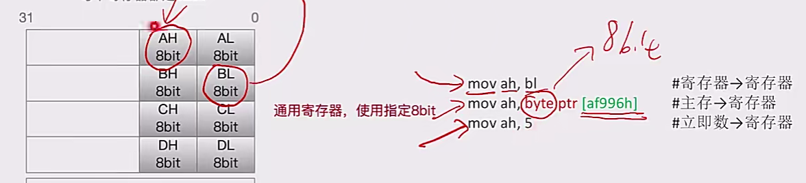 image-20241231133641255