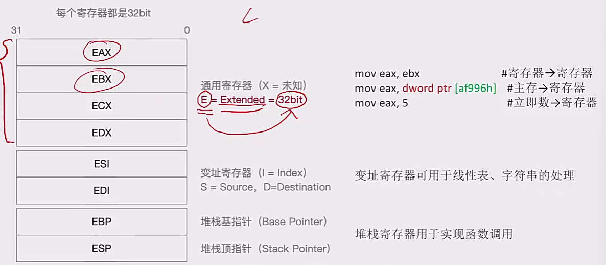 image-20241231134627010