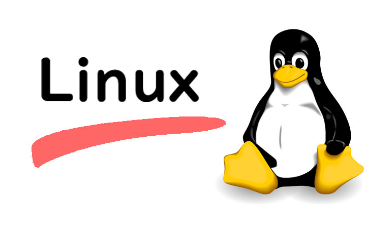 Linux环境配置合集