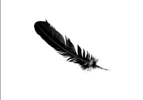 大数据去重神器:位图与布隆过滤器详解