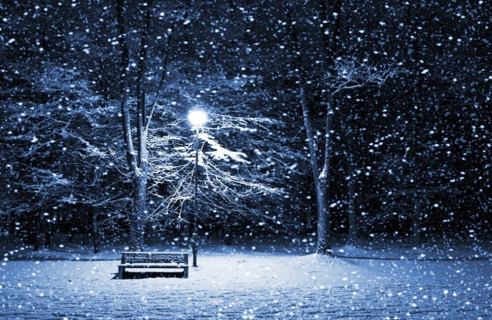 2024,成长与短暂的一年:我的技术成长不完全回顾