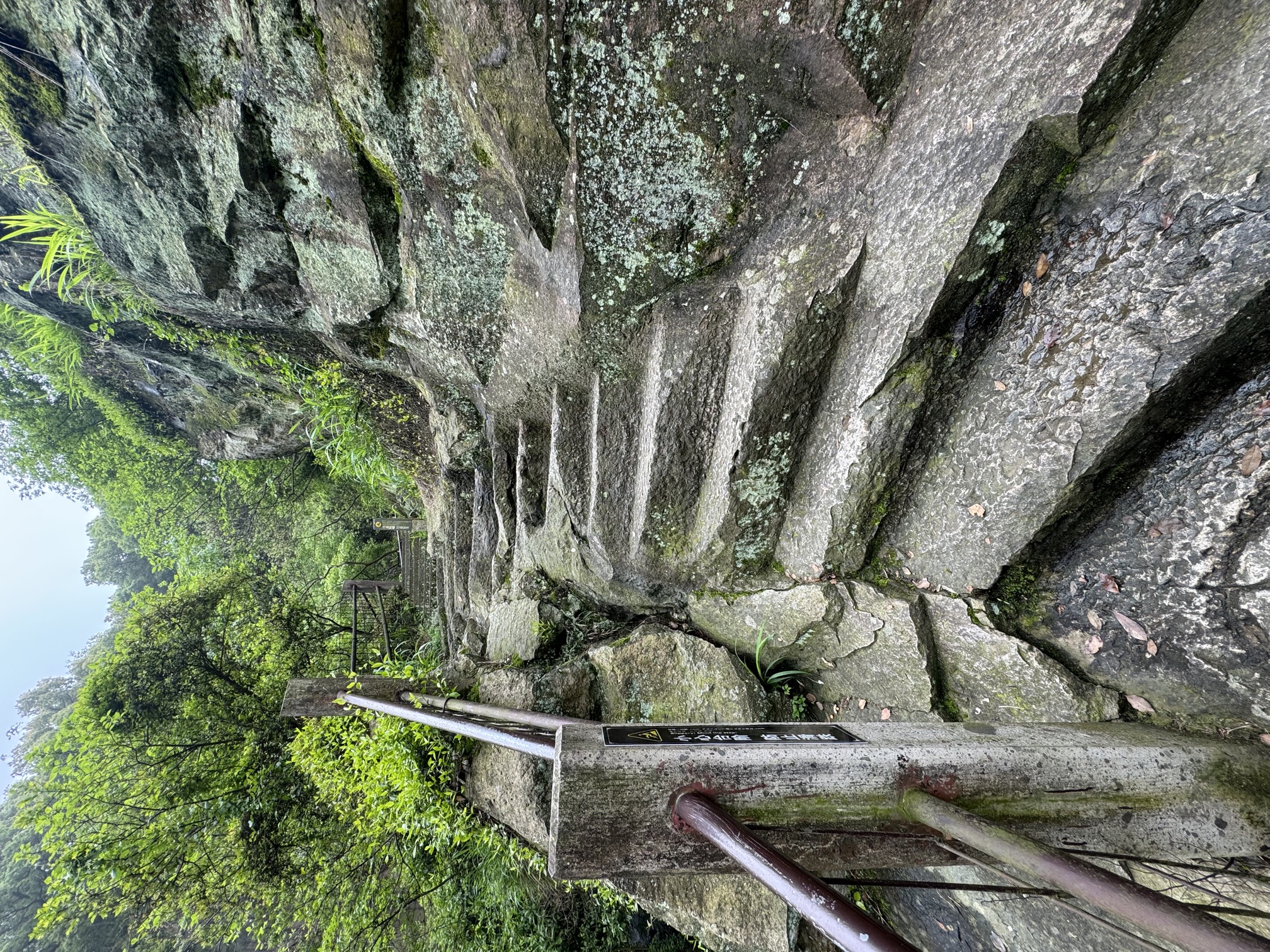 东湖
