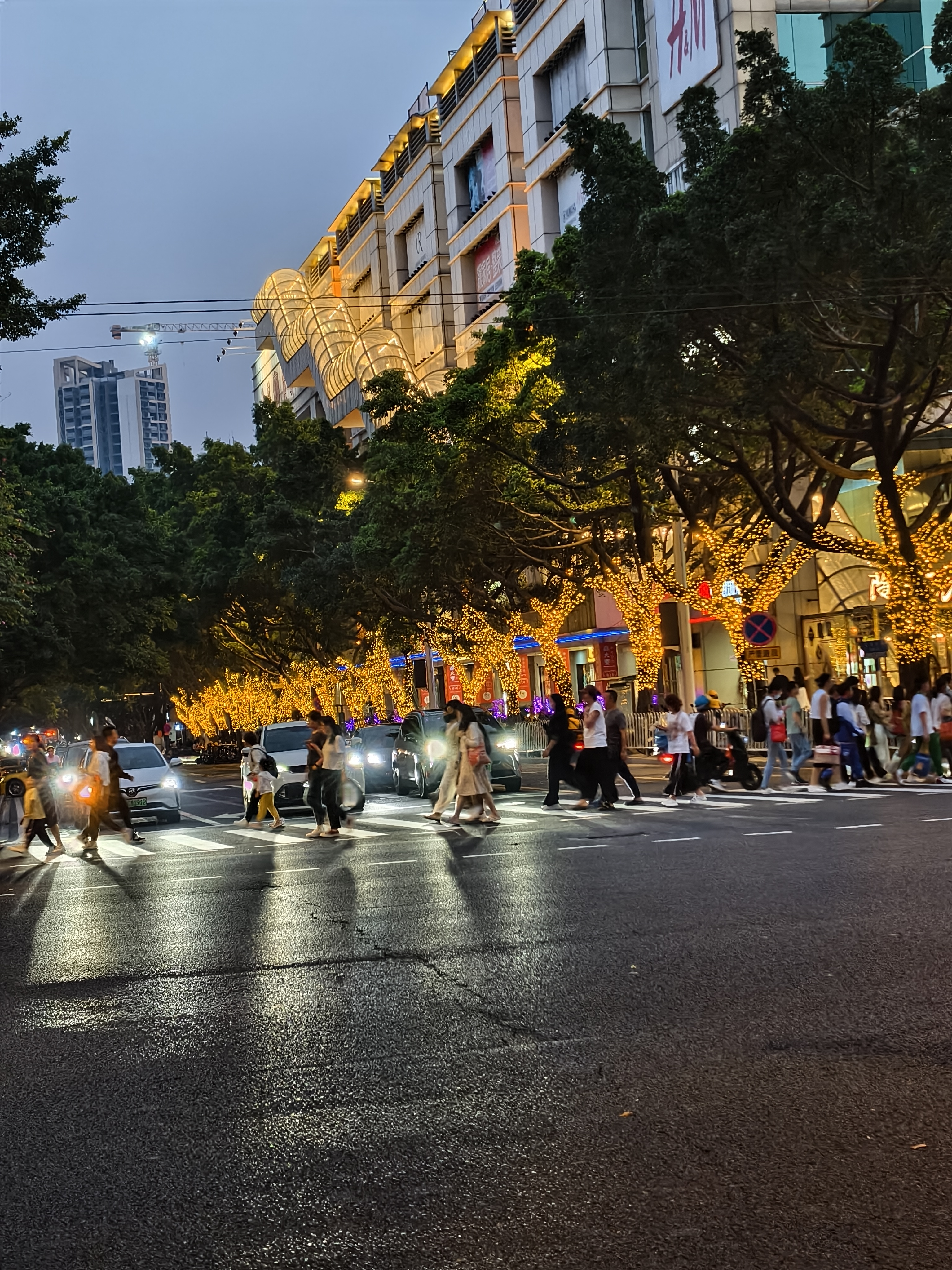 image-20230213224807631