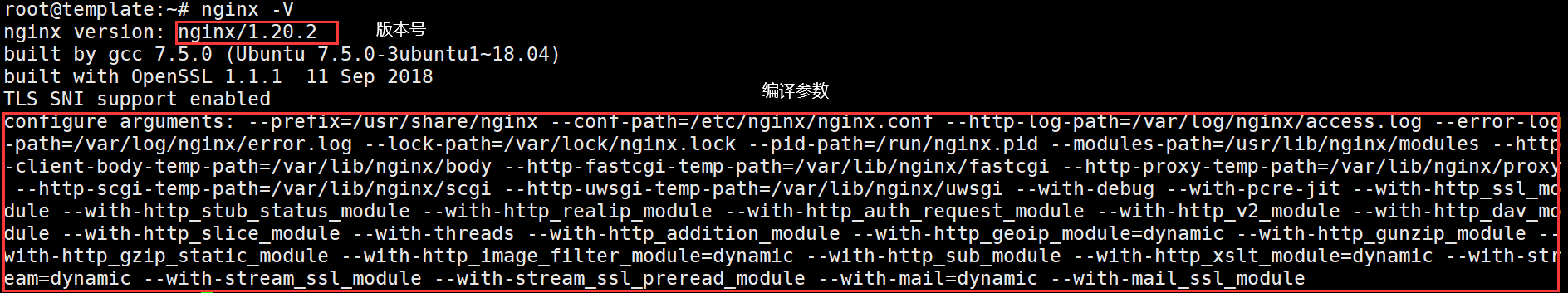 image-20230101143134981