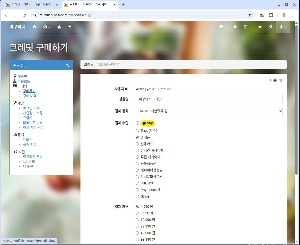 크레딧 구매하기