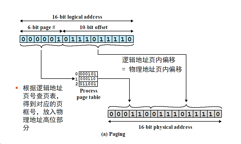 image-20231225194805803