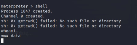 image-20240313095806457