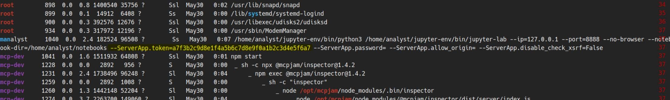 LinPEAS Jupyter discovery