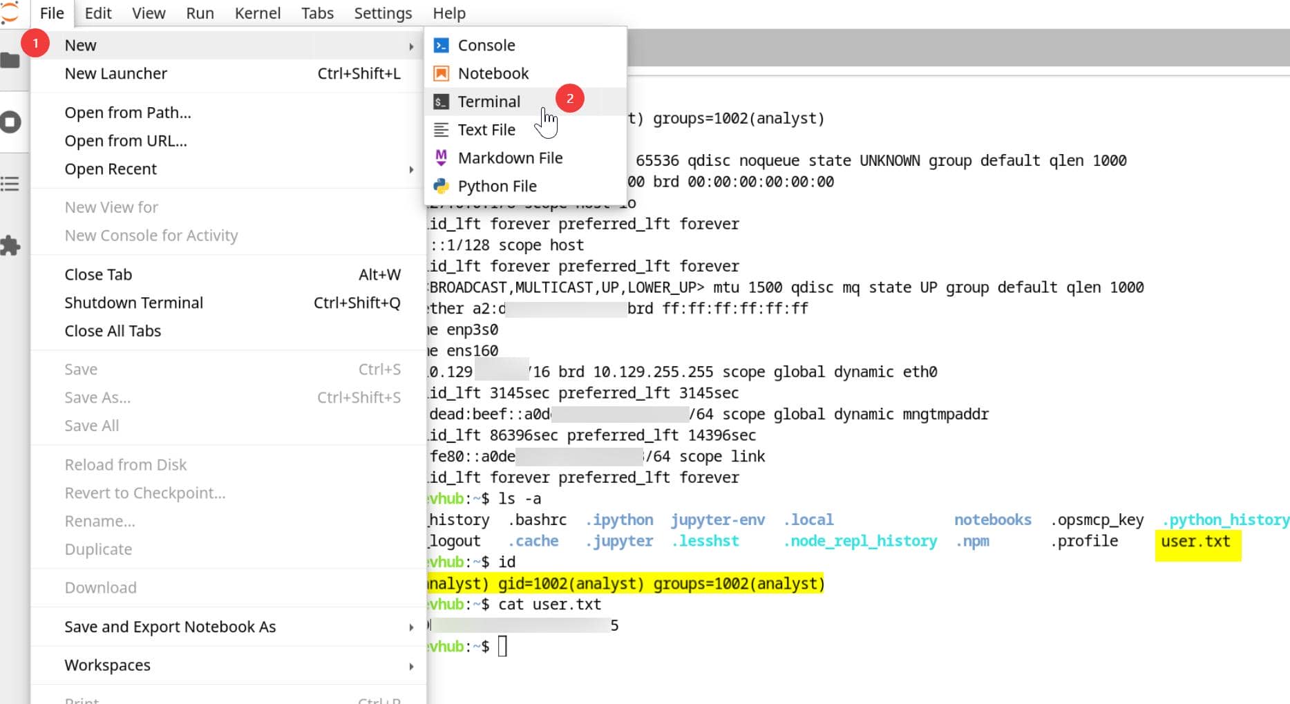 Jupyter terminal shell