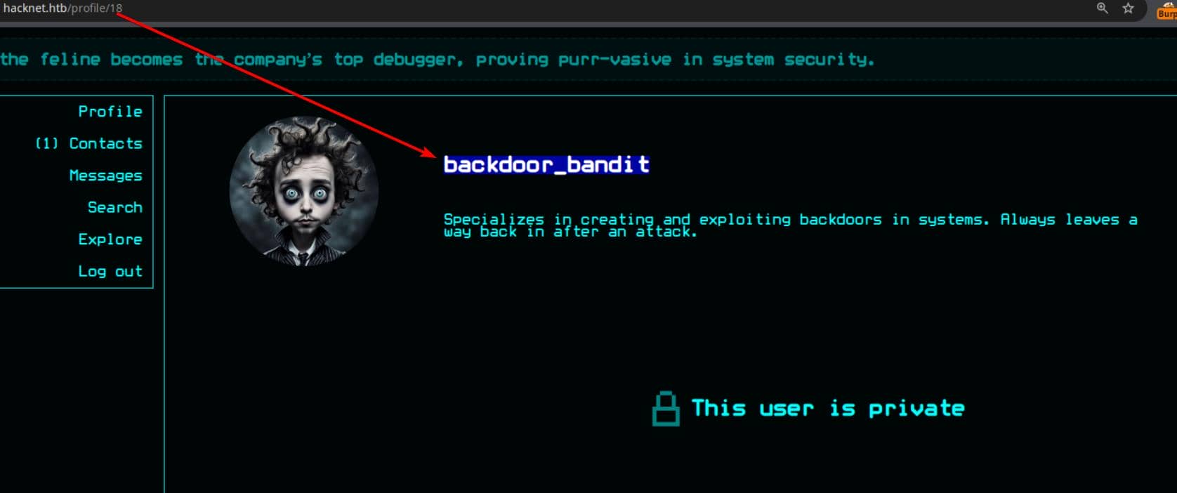 htb_hacknet_12