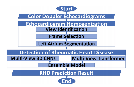 Fig. 1. RHD检测提出的方法流程图