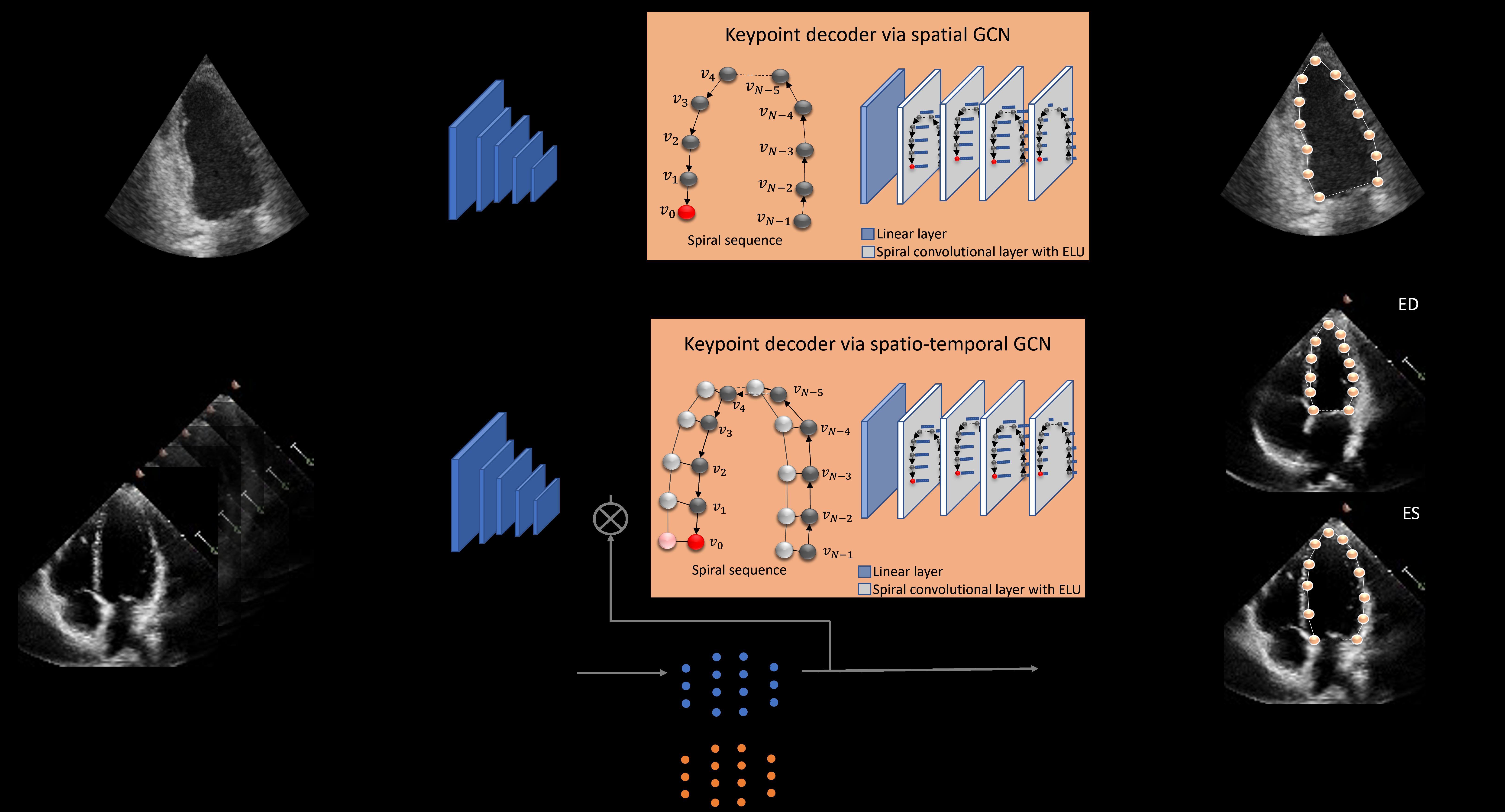 Fig.1. The EchoGraphs model architecture