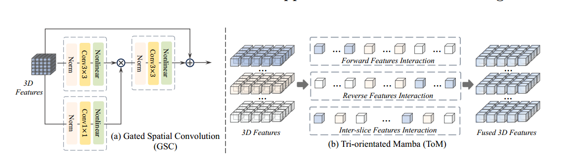 Fig. 3. (a) The gated spatial convolution. (b) The tri-orientated Mamba.