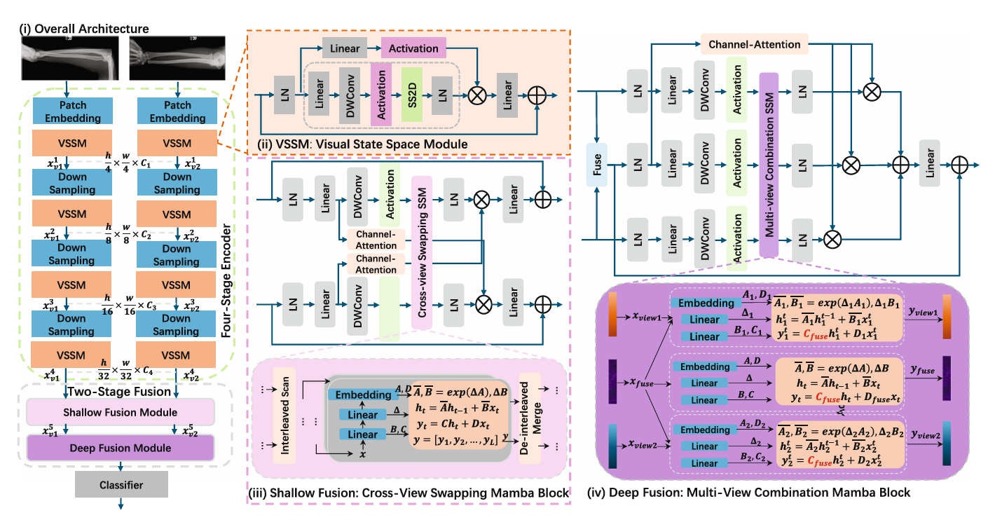 image-20251119172536127