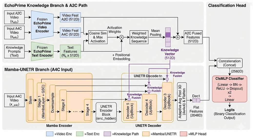 image-20260128145509130