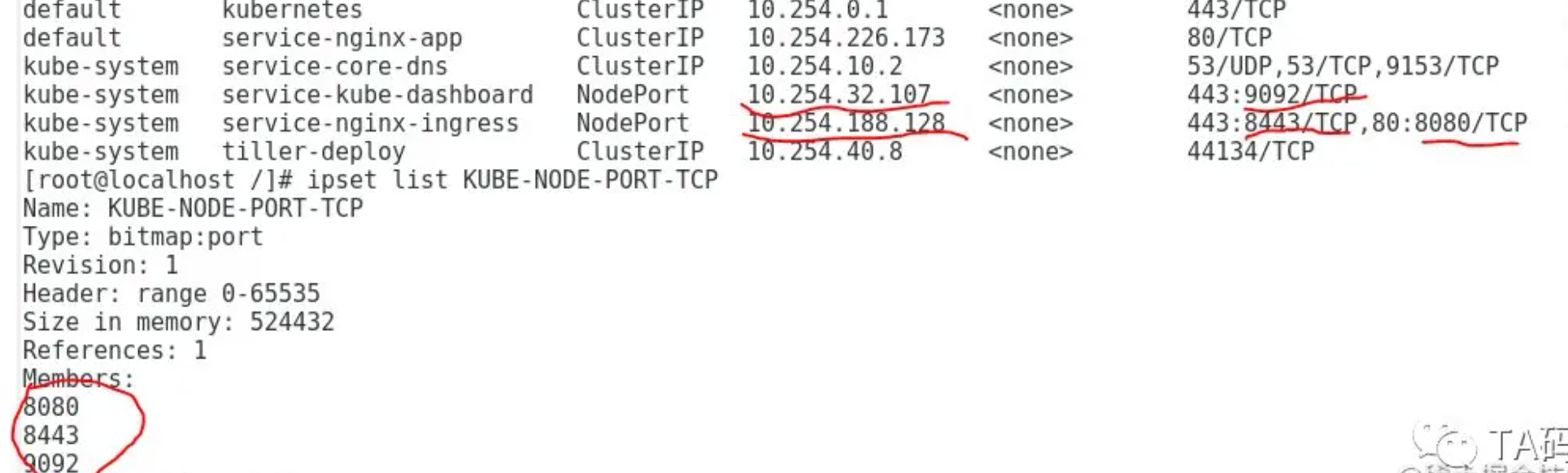 image-20231028113241582