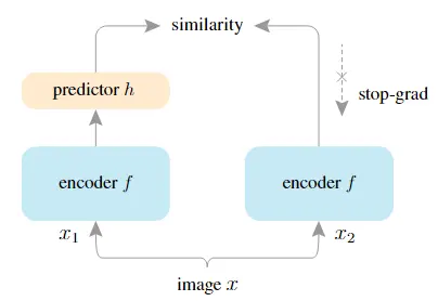 image-20230418224314812