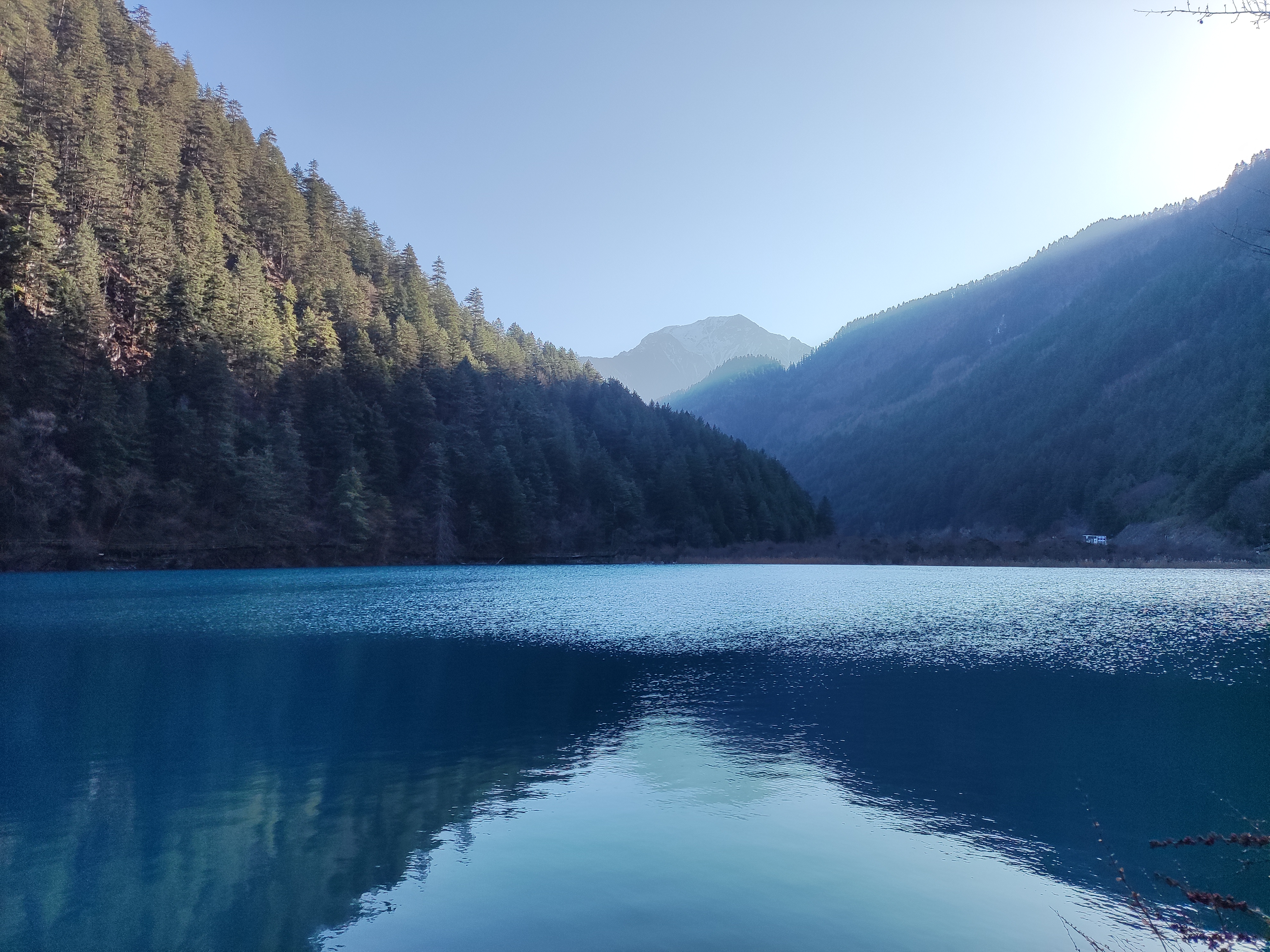老虎海