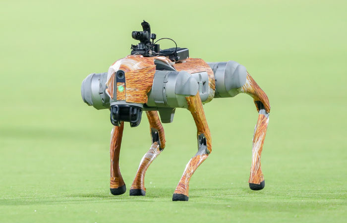 Meet Champak: The Robotic Dog Revolutionising IPL 2025