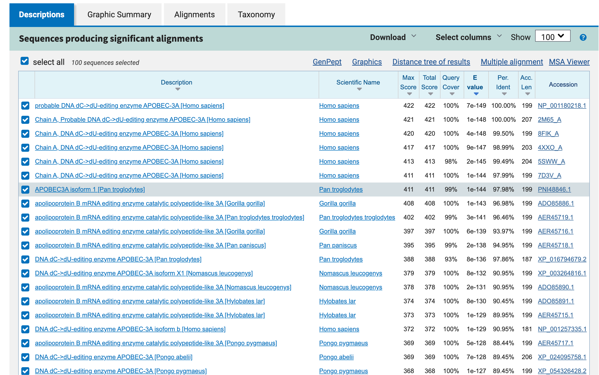 homologous protein sequence