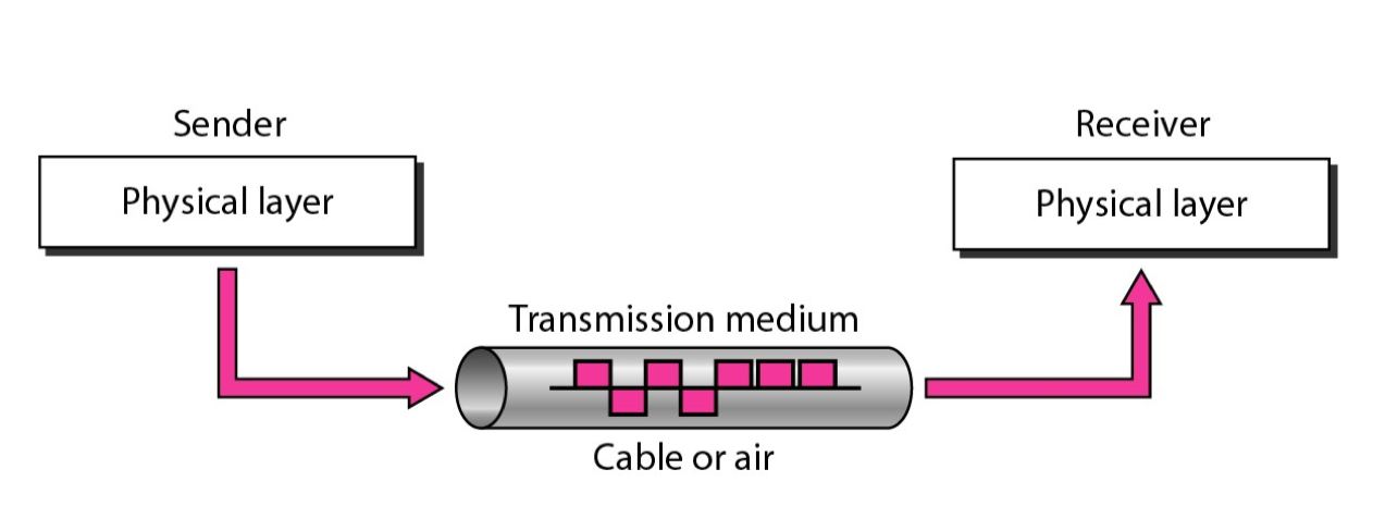 Transmission Medium and Physical Layer