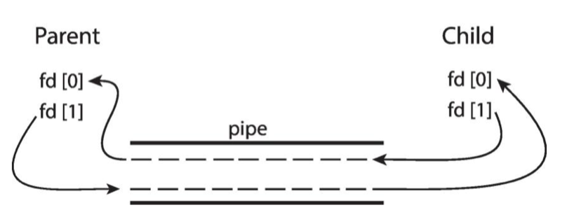 Ordinary  Pipe