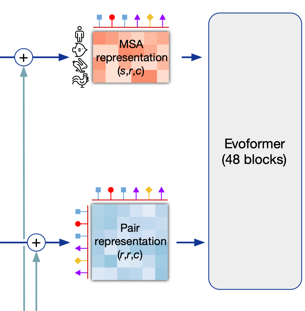 Encoder Input