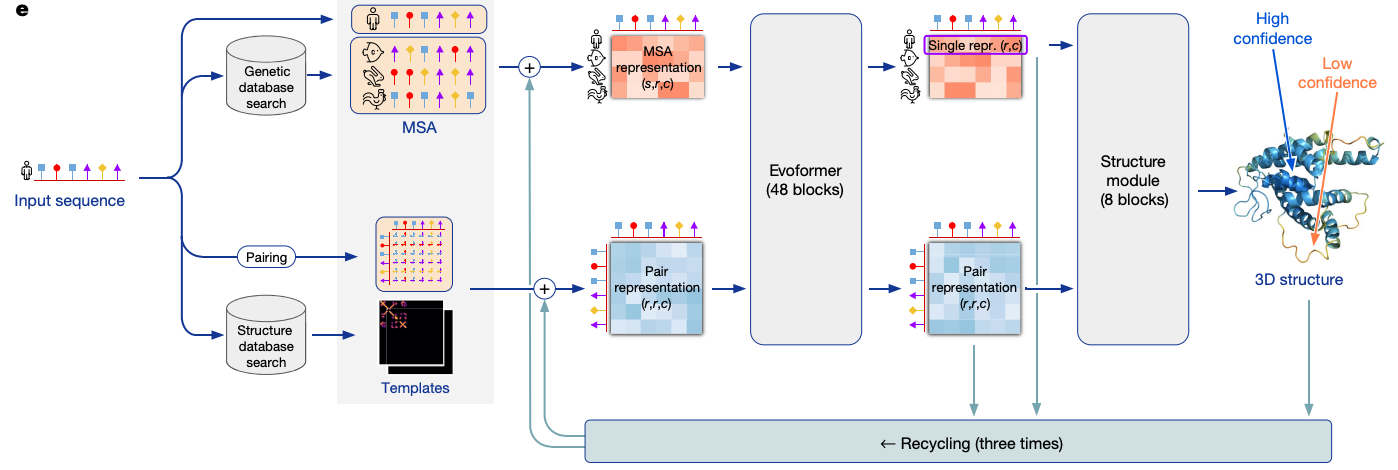 Model architecture