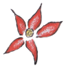 Ro