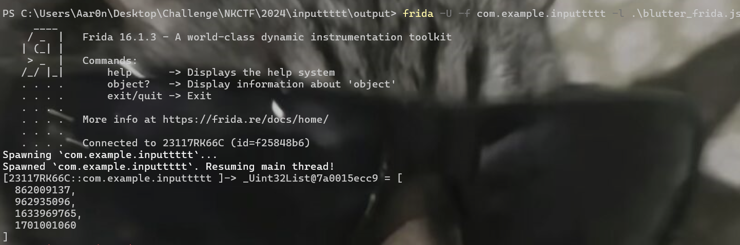 image-20240513002446838