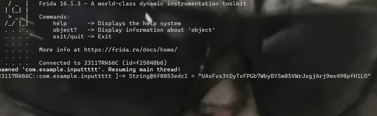 image-20240513010005797