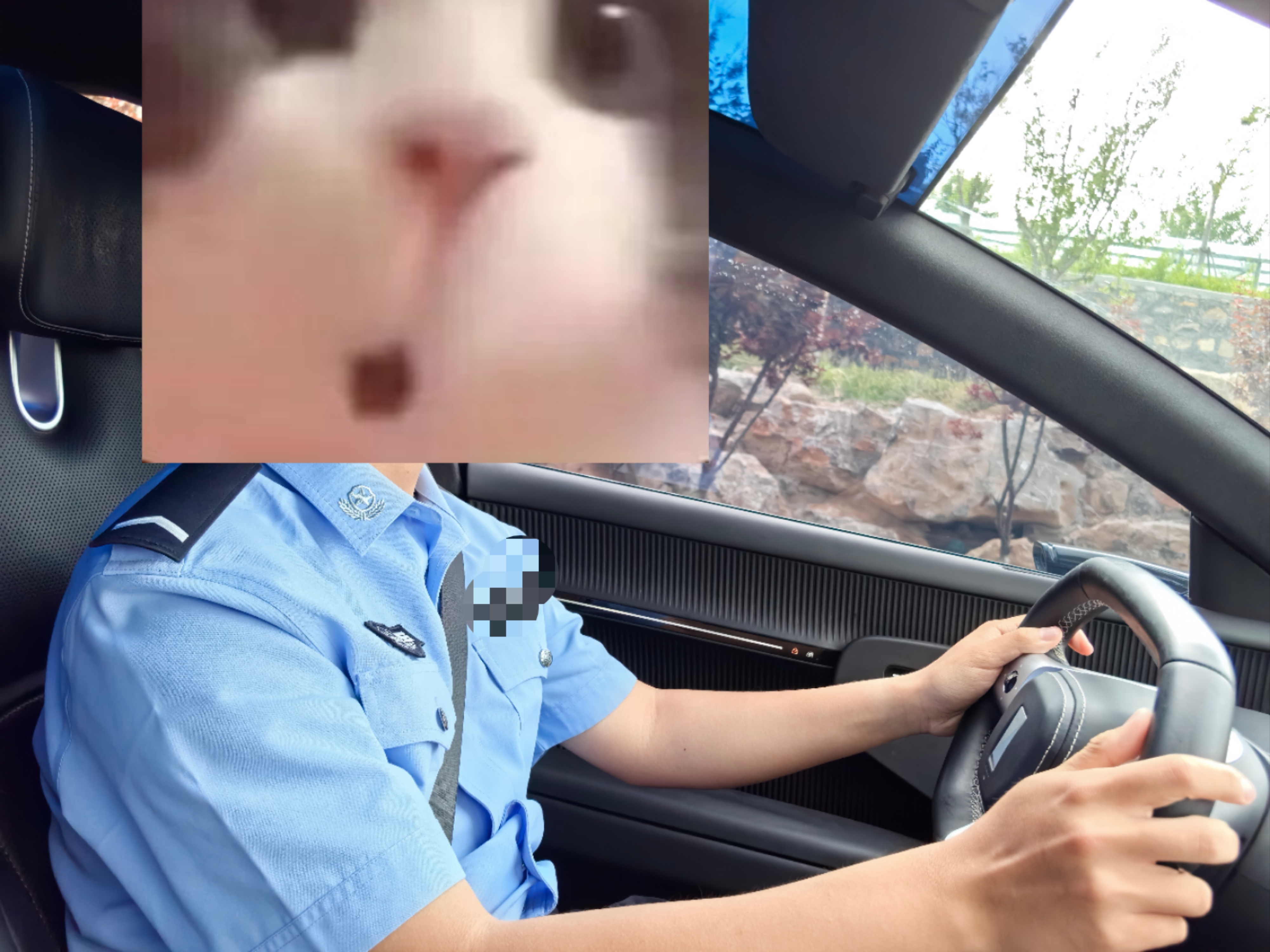 e37529837de1ec54c34c559b33f9af4a