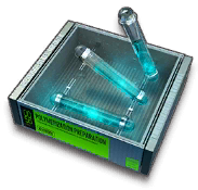 Polymerization Preparation